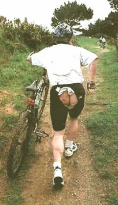 86.jpg